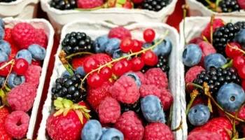 Фармаколог сподели кои плодове не трябва да се купуват в началото на пролетта